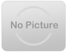 Little Racers Little Racers